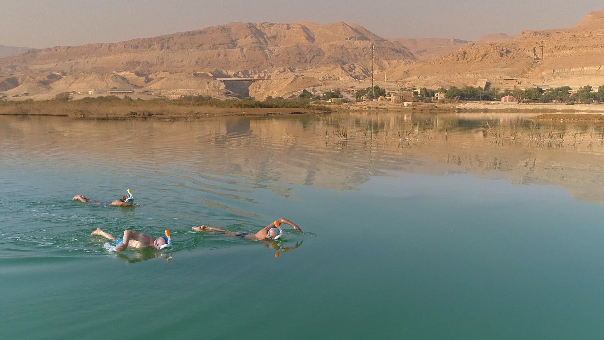 Dead Sea Guardians.jpeg